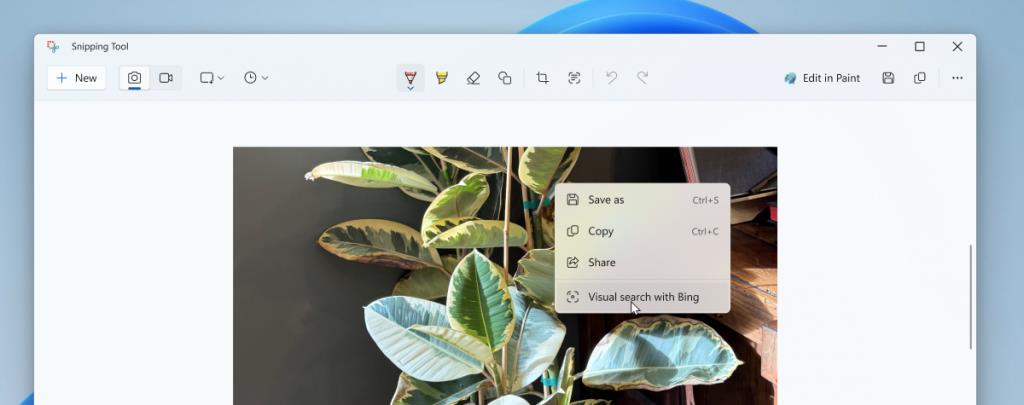 Windows 11 Snipping Tool to get visual search feature
